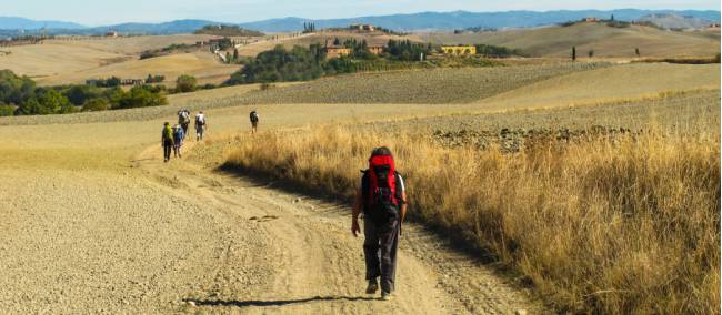 Pilgrims making their way towards Rome on the Via Francigena