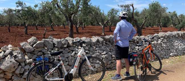 Cycling by Puglia's olive trees | Tali Emdin