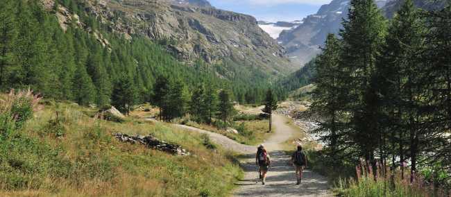 Explore the Gran Paradiso National Park on foot | Gino Cianci