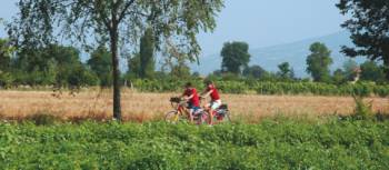 Self guided cyclists enjoy the myriad of crops in the valley floor of Umbria | Sue Badyari