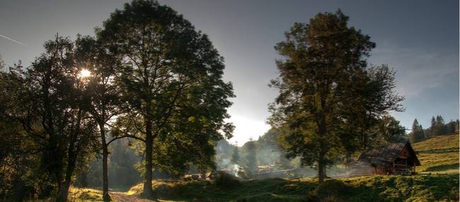 Morning fog lifts on the walking trail in Poland
