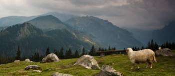 Tatra Mountains