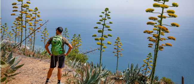 Exploring Madeira | Tim Charody