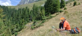 Resting below the limestone peaks of Piatra Craiului National Park | Lilly Donkers