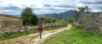 Hiker approaching O Cebreiro on the Camino Frances | Gesine Cheung