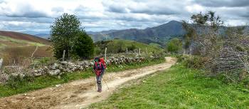 Hiker approaching O Cebreiro on the Camino Frances | Gesine Cheung