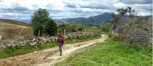 Hiker approaching O Cebreiro on the Camino Frances | Gesine Cheung
