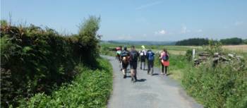 Guided walking on the Camino | Dana Garofani