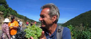 Andreas Holland, Food Lover's Spanish Camino escort, walking with group in Galicia Spain | Andreas Holland