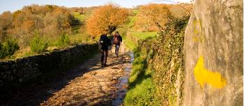 Walking along the Camino