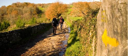 Walking along the Camino
