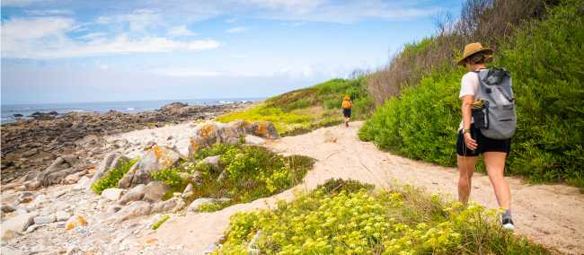Beautiful coastal walking on the Camino Portuguese. | Tim Charody