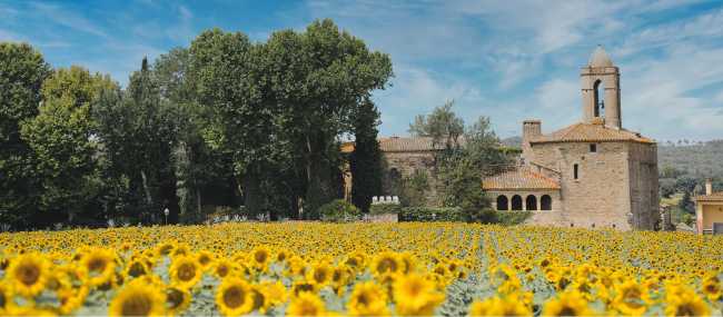 Sunflowers and castles in Pubol, Catalonia