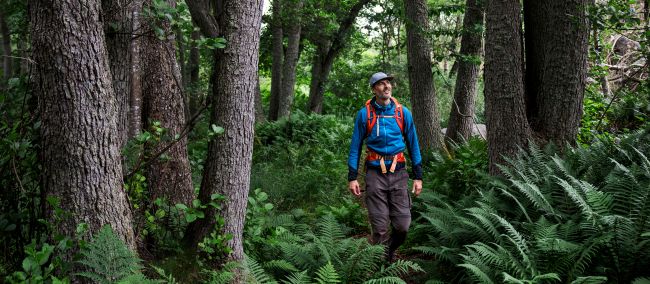 Hiking the Stockholm Archipelago trail | Roger Borgelid