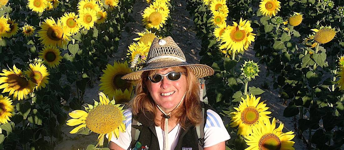 Walking in the Algarve guidebook – Sunflower Books