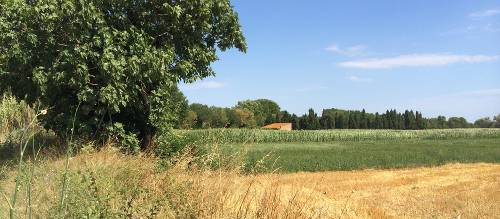 Peaceful countryside of Catalonia, Spain | Kate Baker
