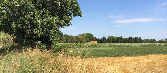 Peaceful countryside of Catalonia, Spain | Kate Baker