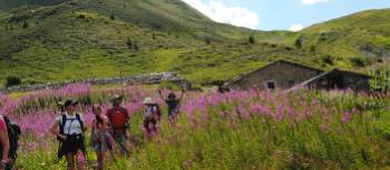 Day 1 of the Tour Du Mont Blanc descending into Switzerland | Ryan Graham