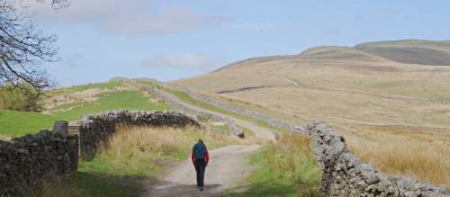 A hikers ascending Great Shunner Fell | John Millen